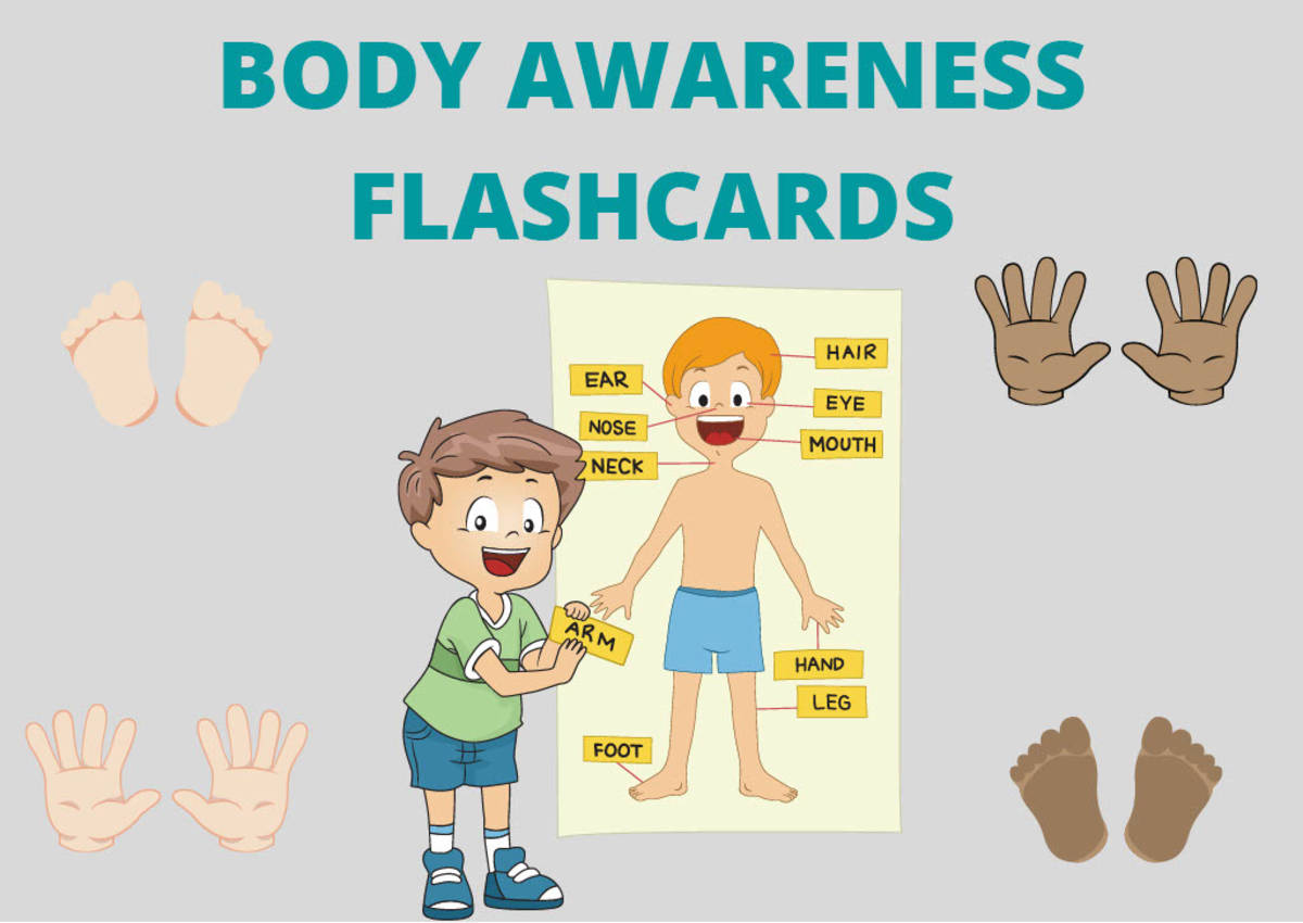 An educational teaching resource from Miracles and Moree Therapy LLC entitled Body Awareness Flashcards downloadable at Teach Simple.