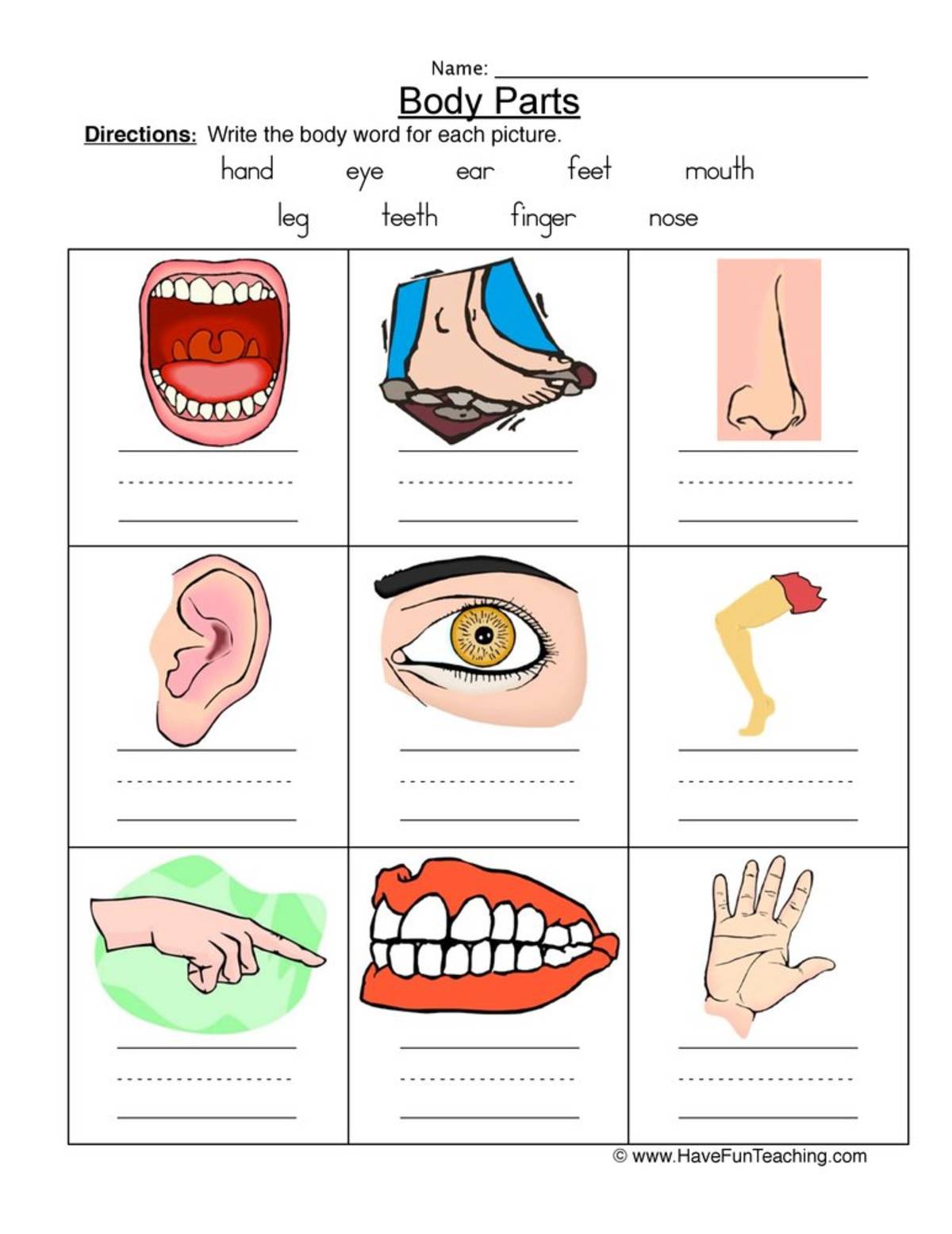 An educational teaching resource from Have Fun Teaching entitled Body Parts Worksheet downloadable at Teach Simple.