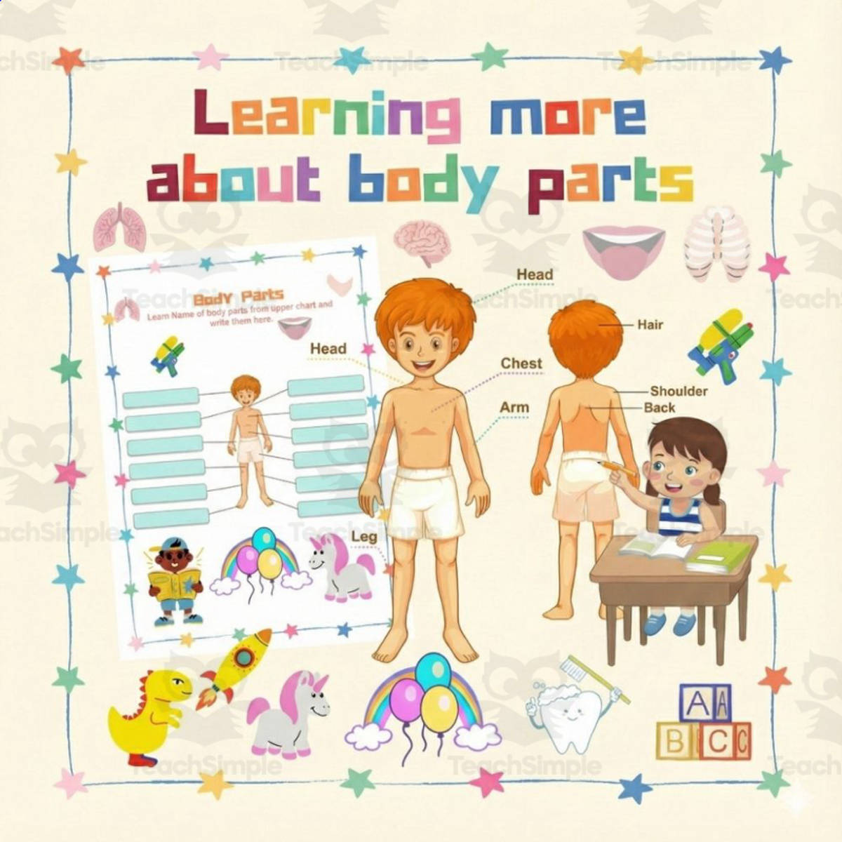 An educational teaching resource from Kids Activity Lab entitled Body Parts Worksheets Human Body Anatomy Science Pre-K to 1st downloadable at Teach Simple.