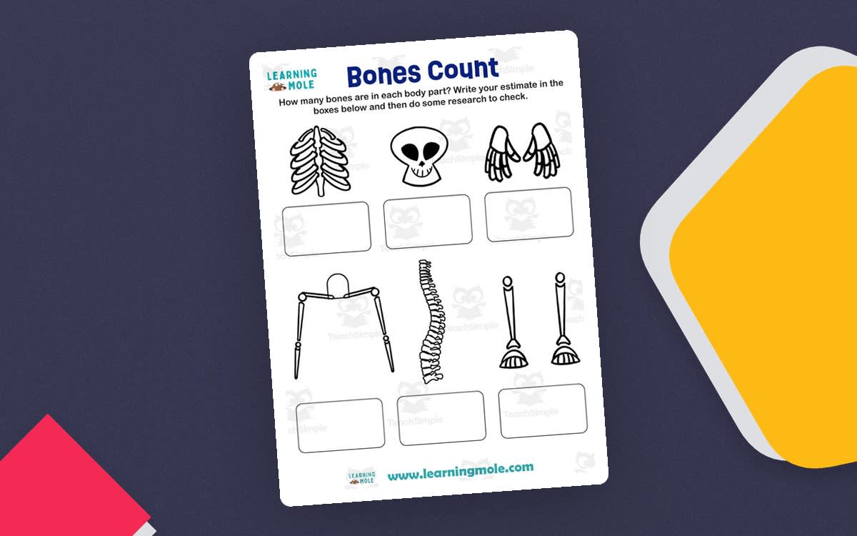 An educational teaching resource from Educational Voice entitled Bones Count Activity – Skeletal System Worksheet downloadable at Teach Simple.
