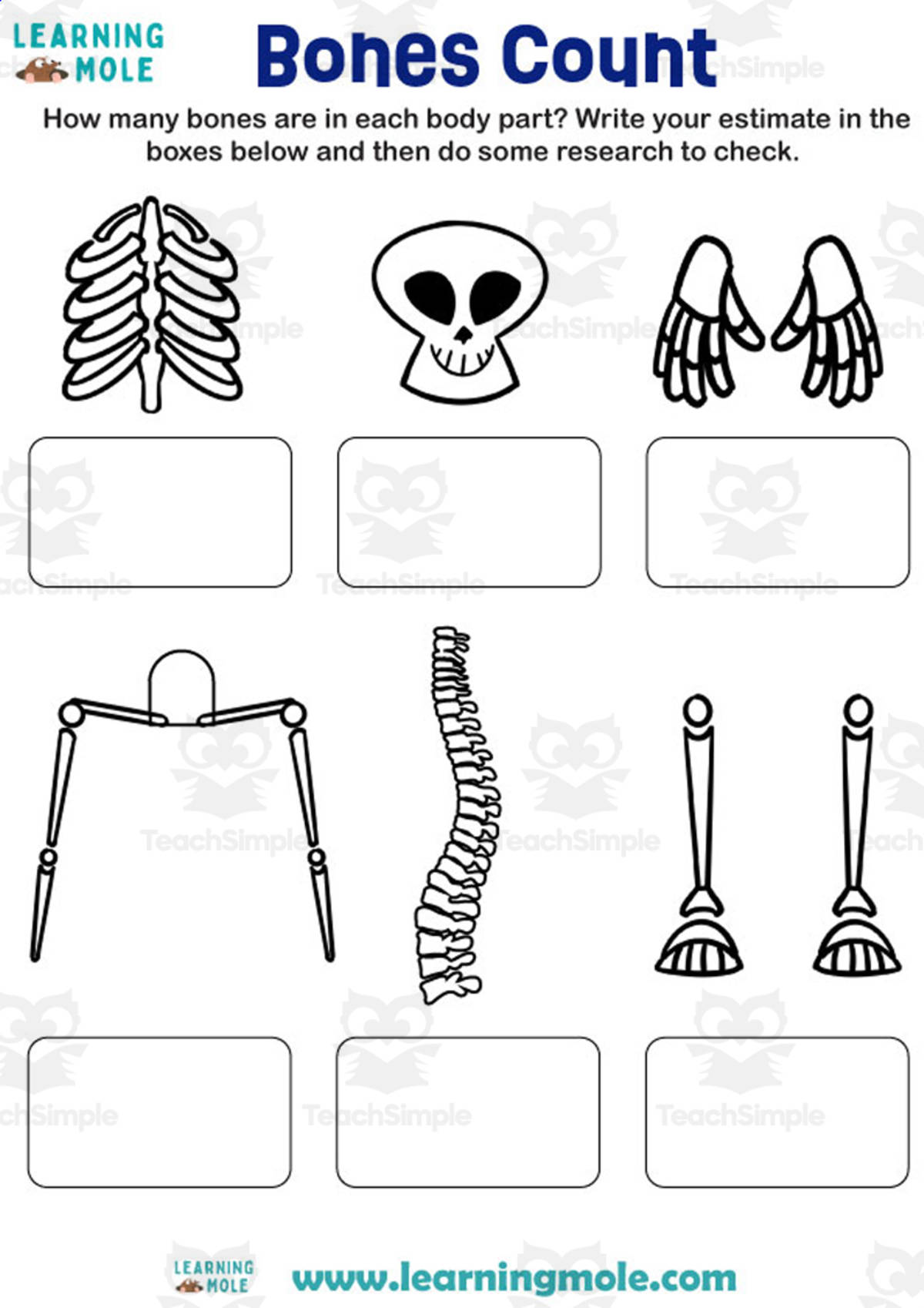 An educational teaching resource from Educational Voice entitled Bones Count Activity – Skeletal System Worksheet downloadable at Teach Simple.