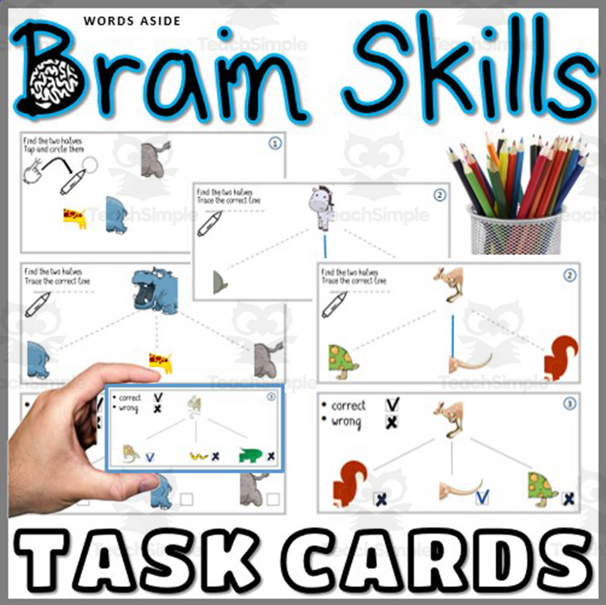 An educational teaching resource from WORDS ASIDE entitled Brain Task Cards Wild Animals downloadable at Teach Simple.