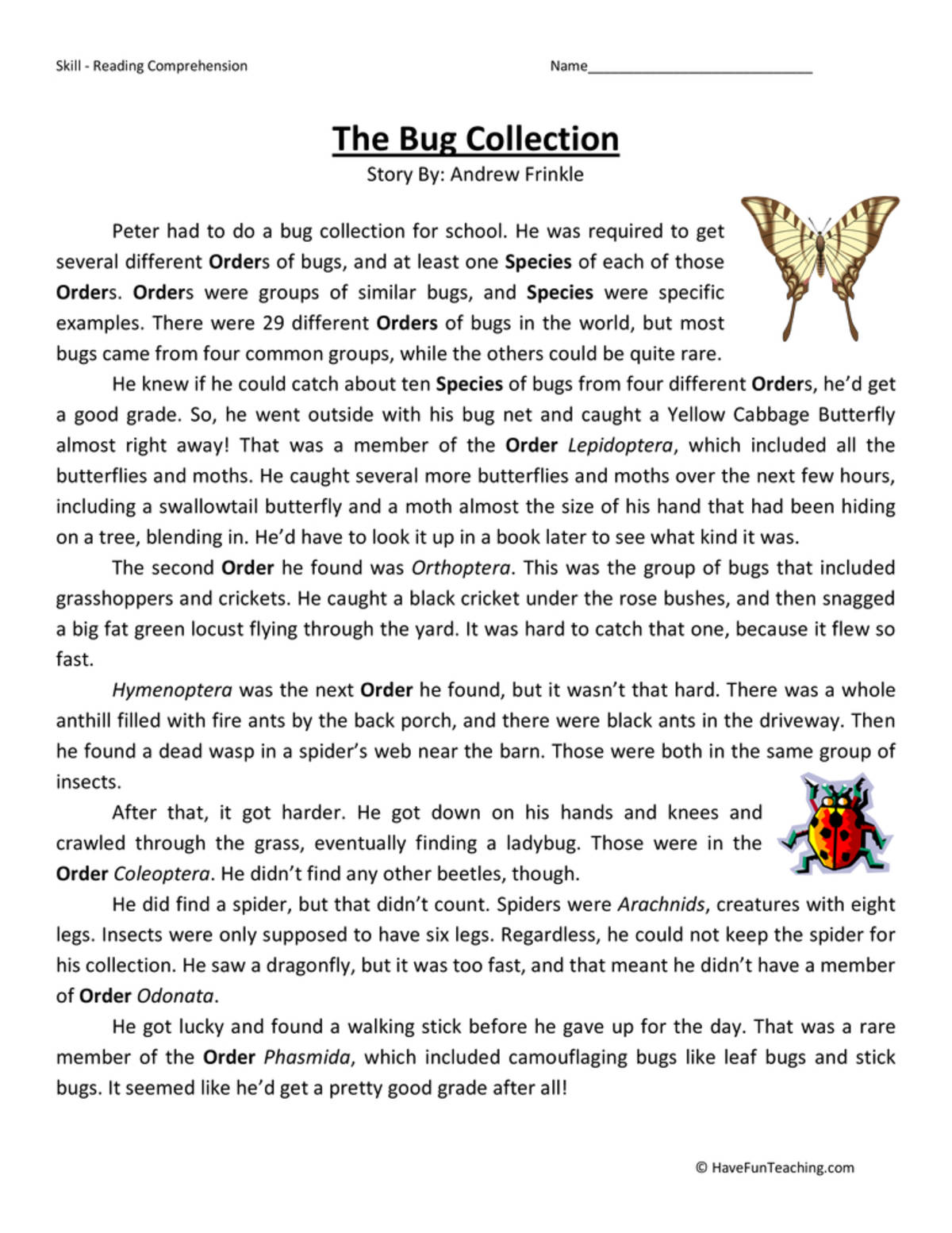 An educational teaching resource from Have Fun Teaching entitled Bug Collection - Reading Comprehension Worksheet downloadable at Teach Simple.
