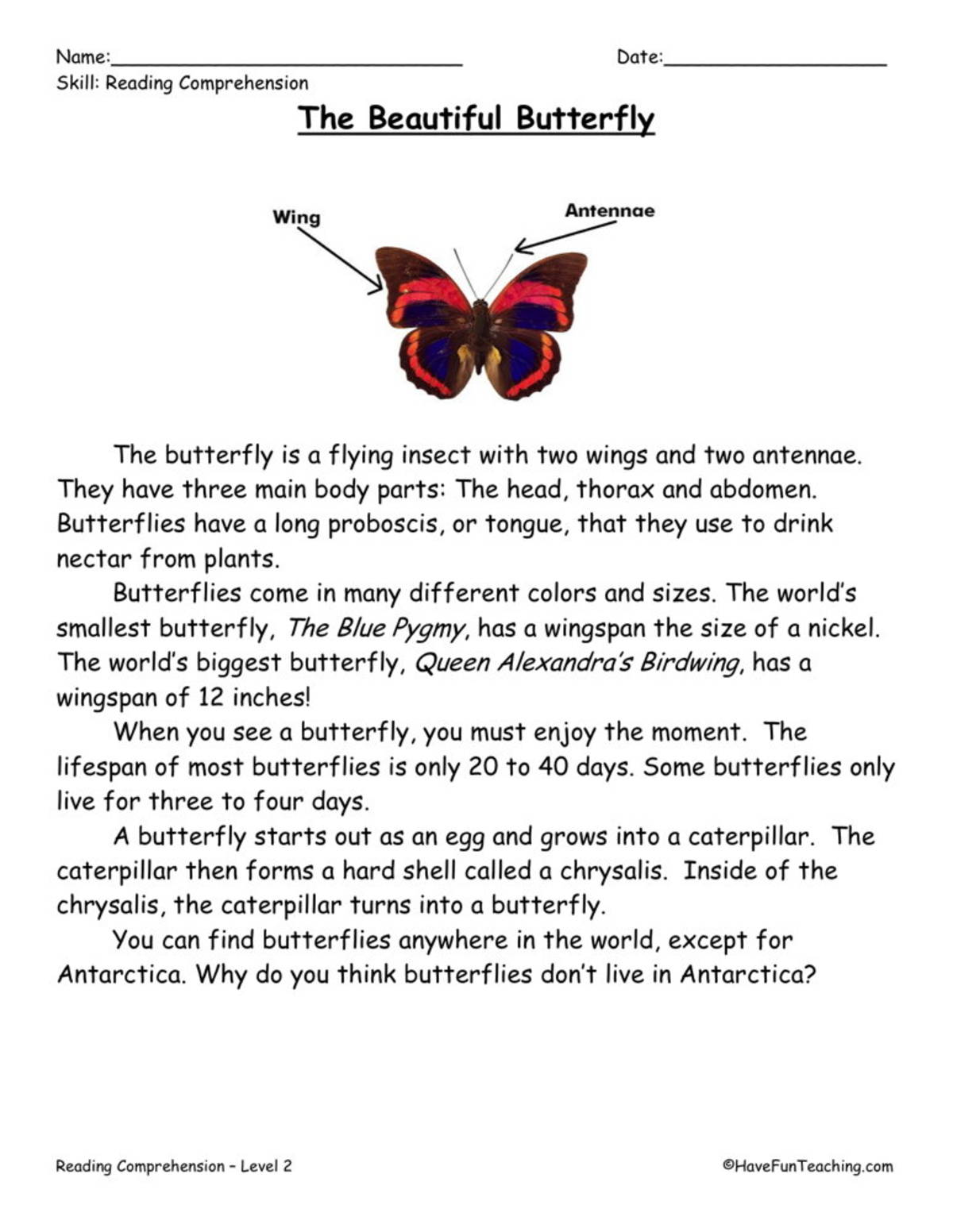 An educational teaching resource from Have Fun Teaching entitled Butterflies Reading Comprehension Worksheet downloadable at Teach Simple.