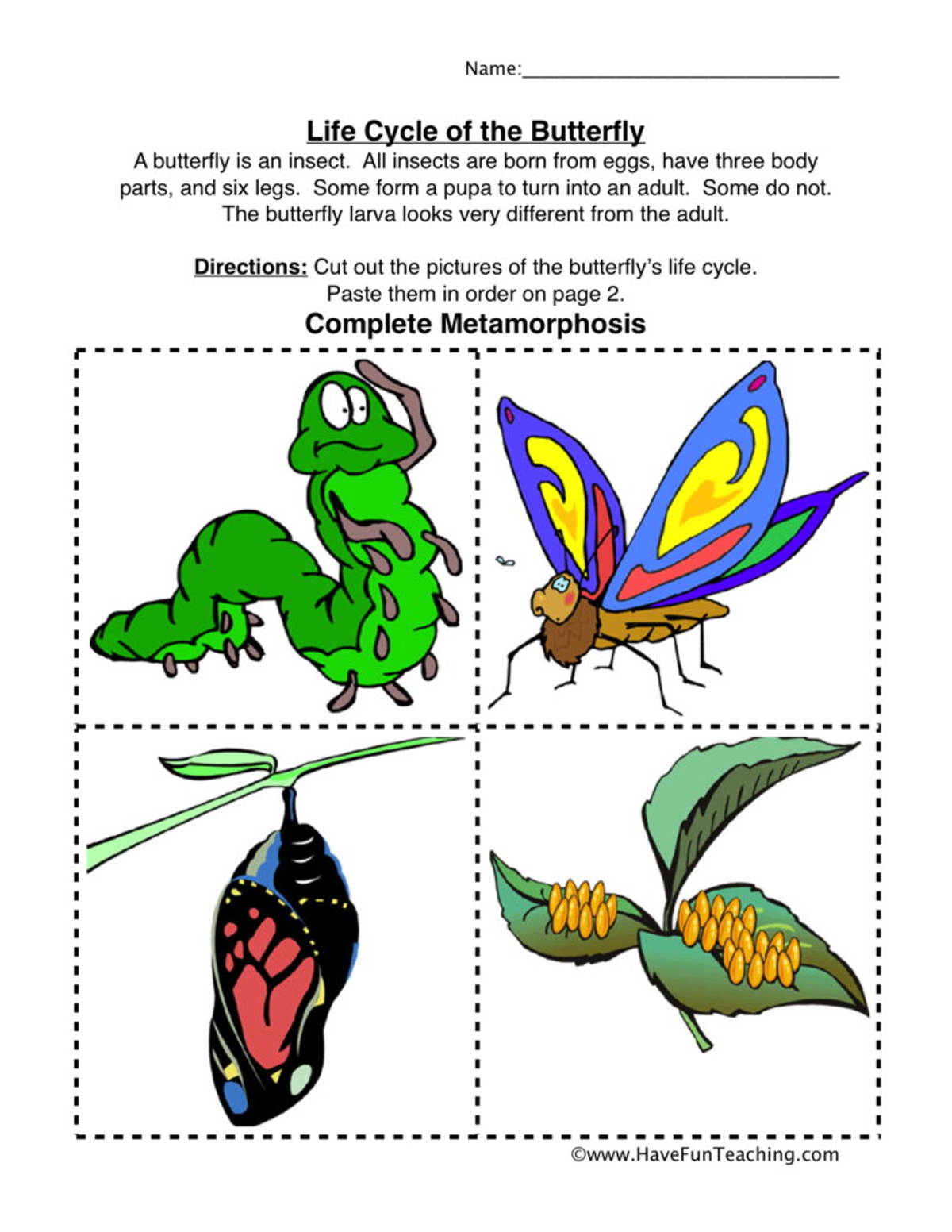 An educational teaching resource from Have Fun Teaching entitled Butterfly Life Cycle Worksheet downloadable at Teach Simple.