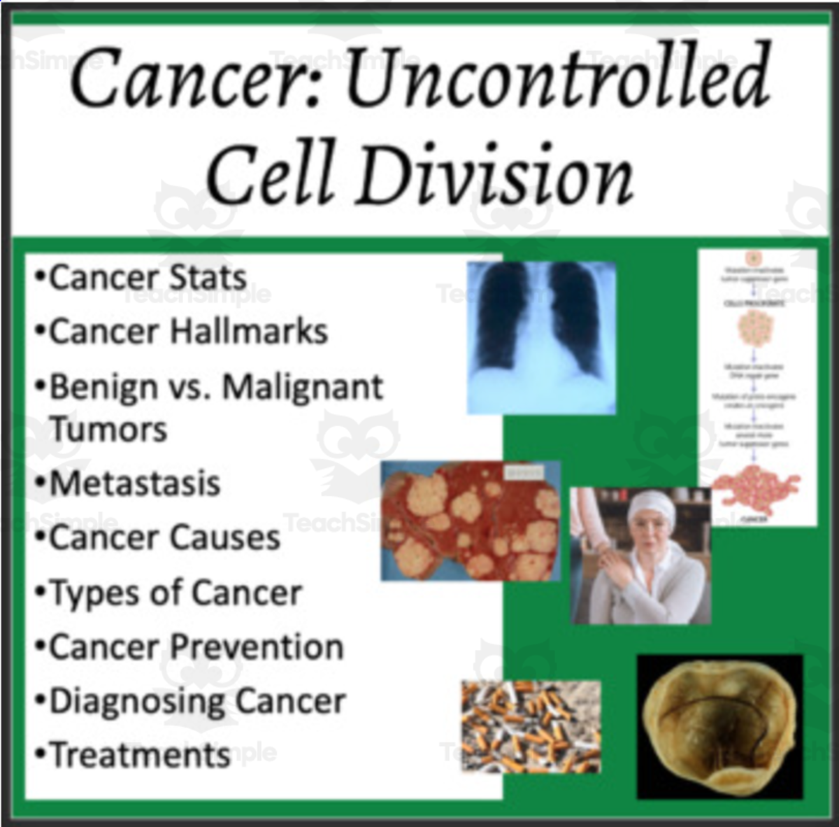An educational teaching resource from Teach With Fergy entitled Cancer: Uncontrolled Cell Division - Google Slides and PowerPoint Lesson downloadable at Teach Simple.