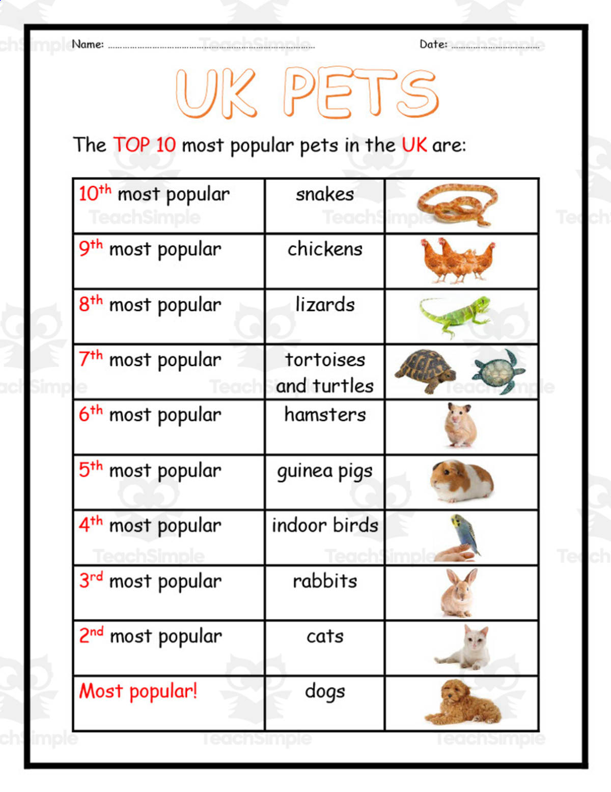 An educational teaching resource from Elementary Resources 4 U entitled Caring for Pets Packet downloadable at Teach Simple.