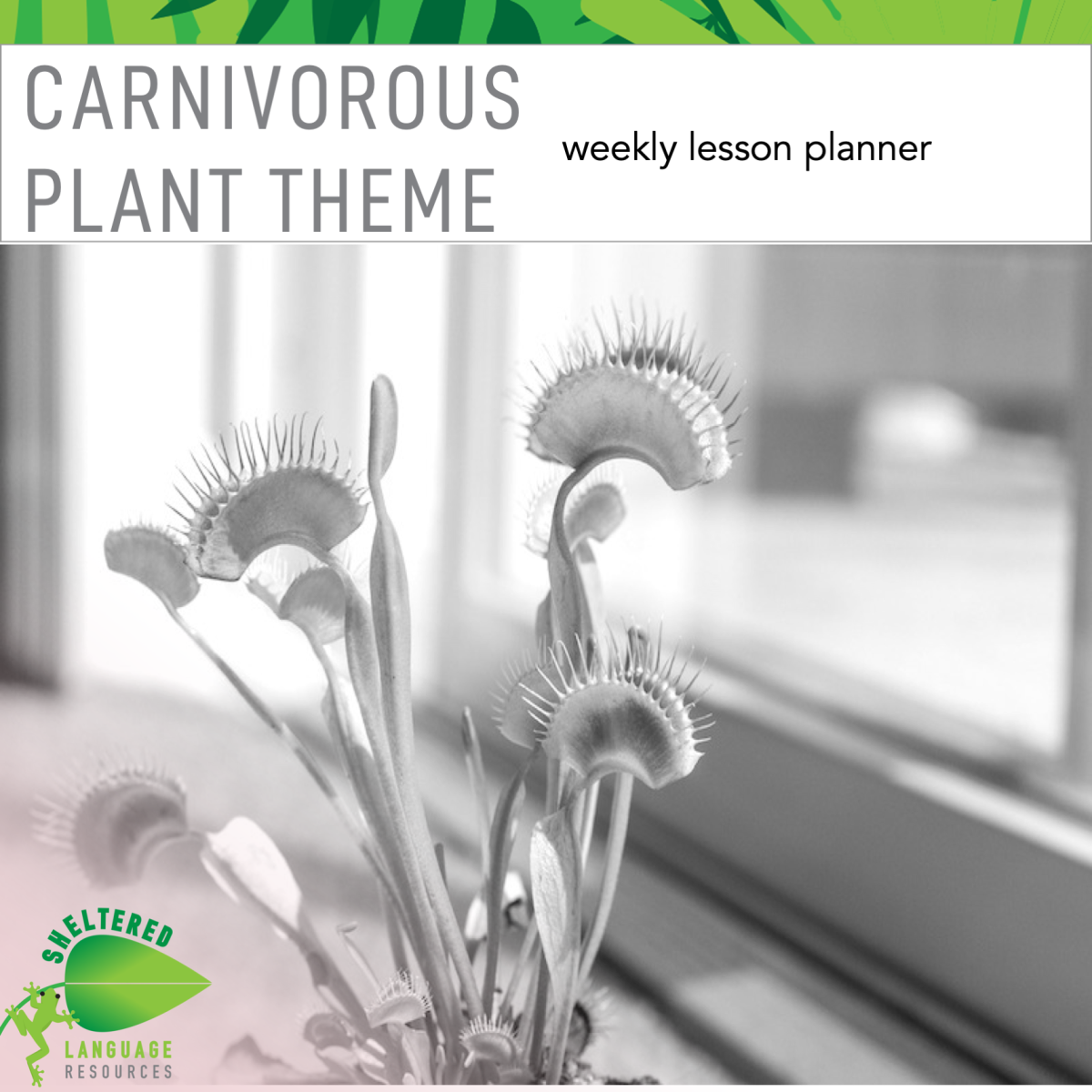 An educational teaching resource from Sheltered Language Resources entitled Carnivorous Plant Themed Weekly Planner downloadable at Teach Simple.
