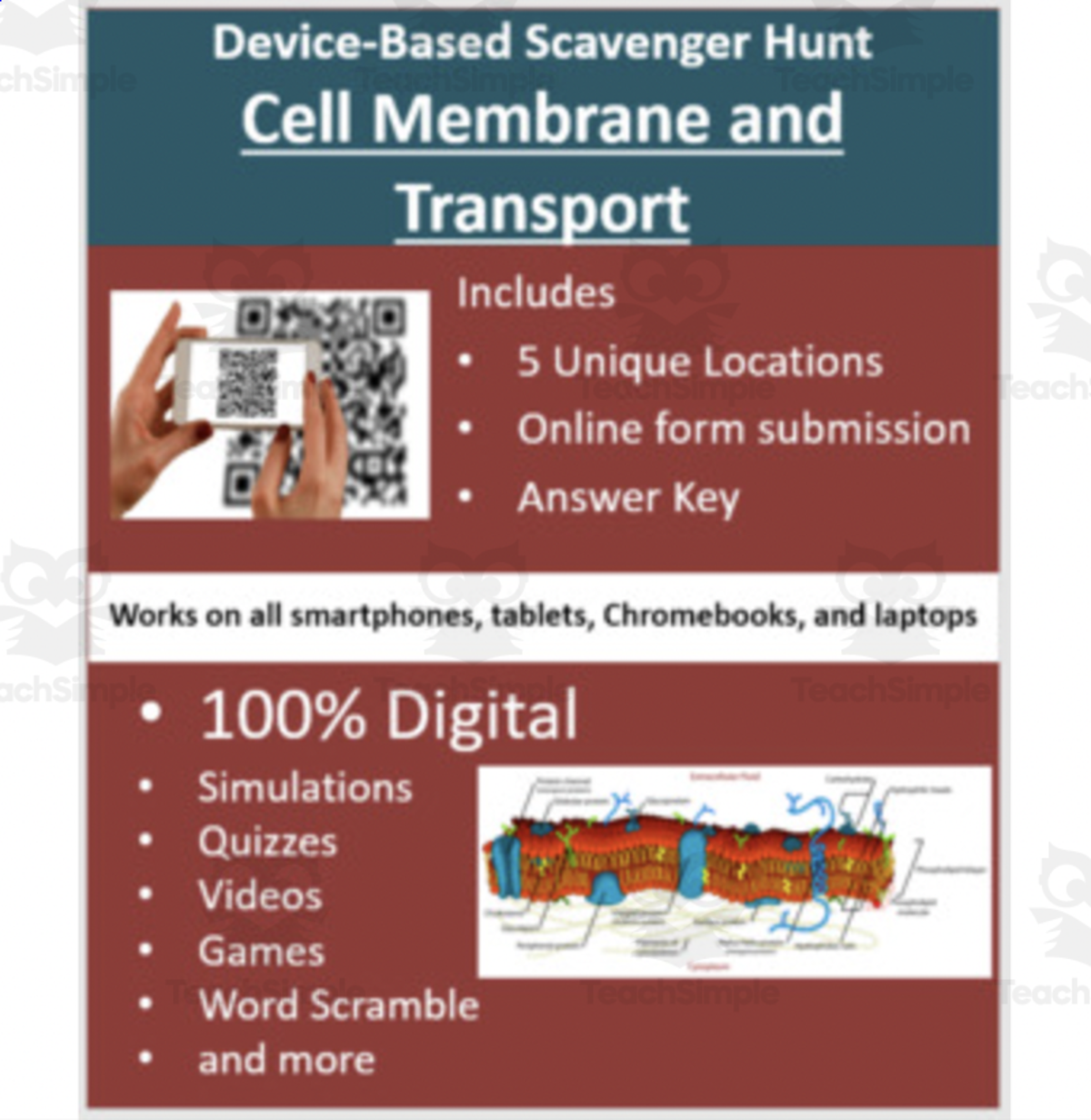 An educational teaching resource from Teach With Fergy entitled Cell Membrane and Transport – A Device-Based Scavenger Hunt Activity downloadable at Teach Simple.