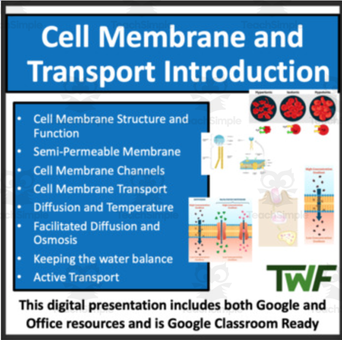 An educational teaching resource from Teach With Fergy entitled Cell Membrane and Transport - Introductory PowerPoint Lesson & Notes downloadable at Teach Simple.