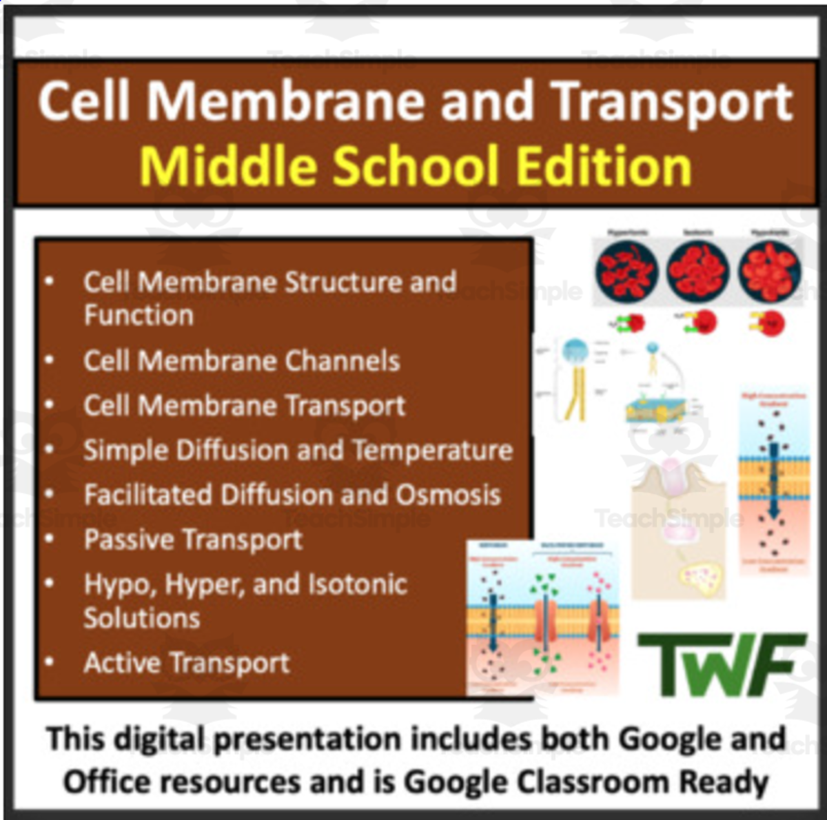 An educational teaching resource from Teach With Fergy entitled Cell Membrane and Transport - Middle School Lesson & Notes downloadable at Teach Simple.