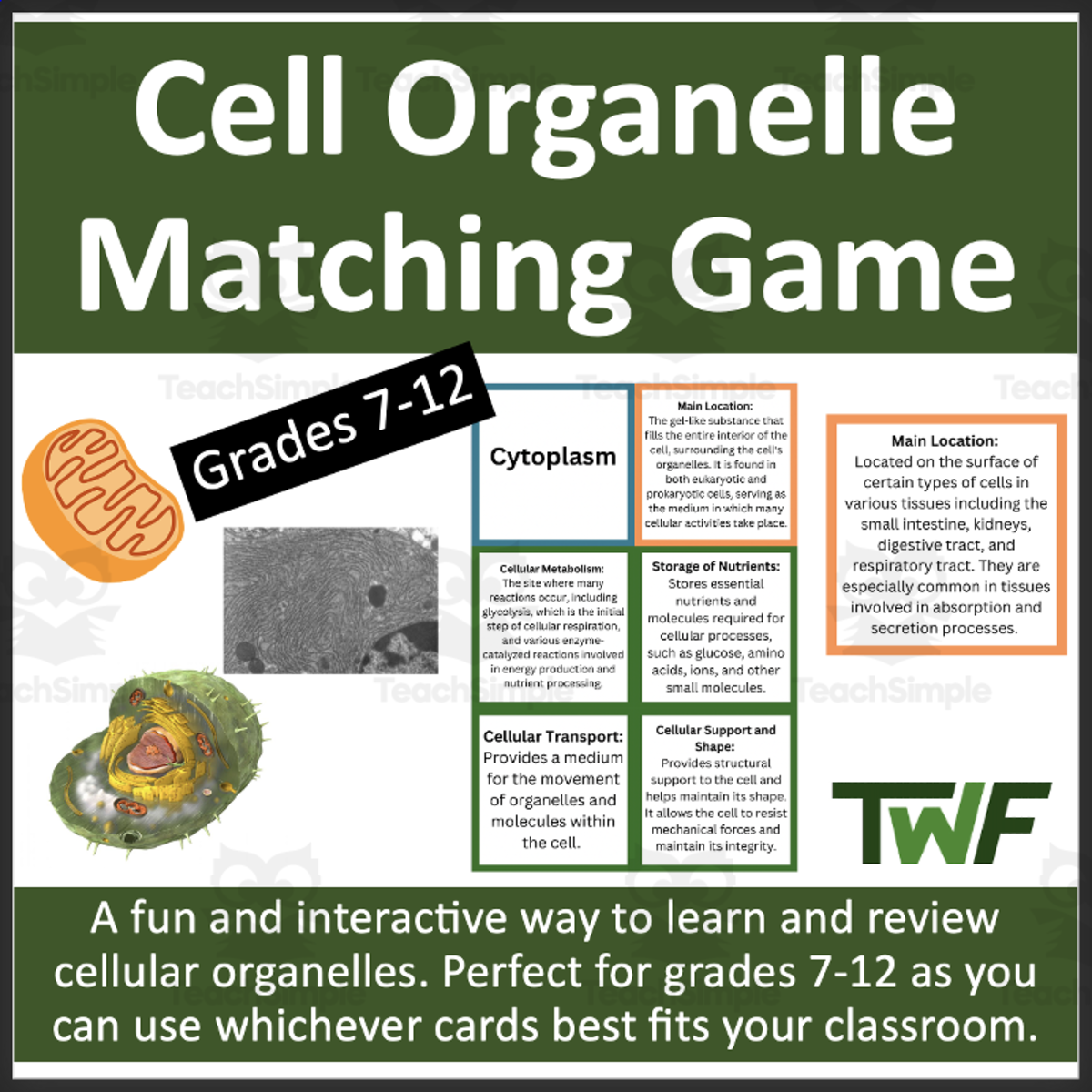 An educational teaching resource from Teach With Fergy entitled Cell Organelles Card Matching – Grades 7–12 downloadable at Teach Simple.
