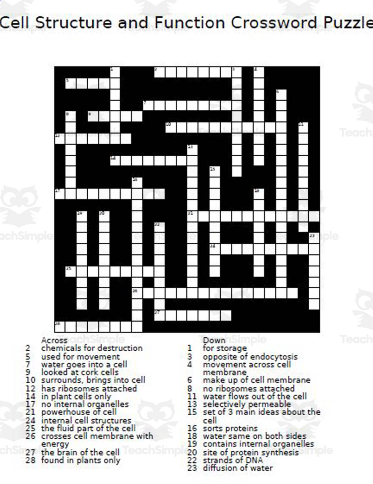 An educational teaching resource from The Teacher Team entitled Cell Structure & Function – Vocabulary Crossword downloadable at Teach Simple.
