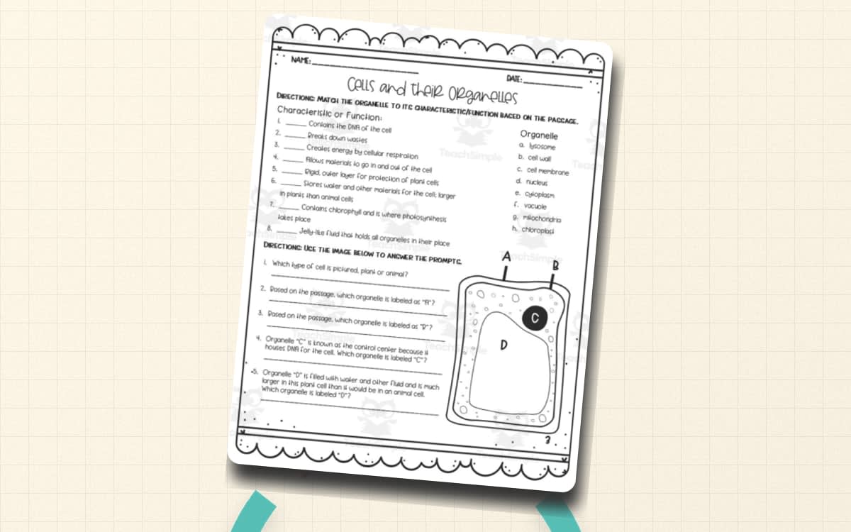 An educational teaching resource from Sarah Miller Tech entitled Cells + Their Organelles Reading Activity downloadable at Teach Simple.