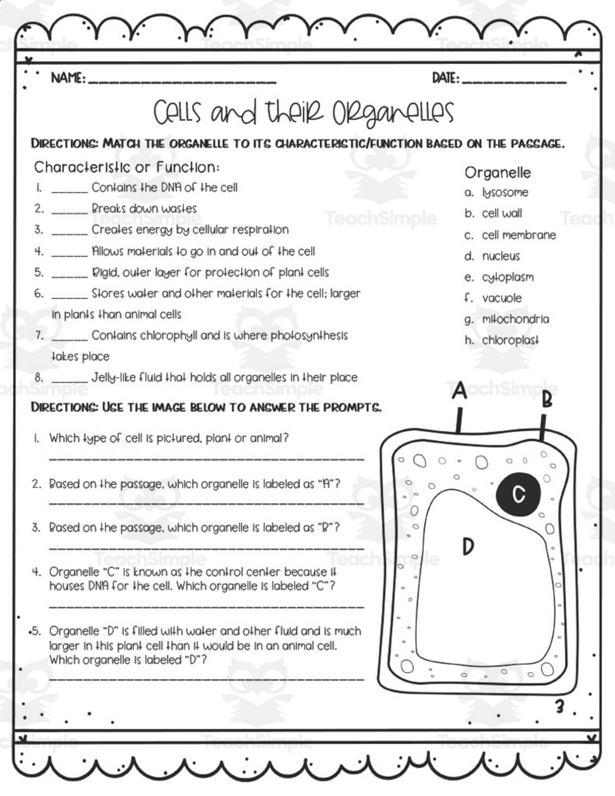 An educational teaching resource from Sarah Miller Tech entitled Cells + Their Organelles Reading Activity downloadable at Teach Simple.