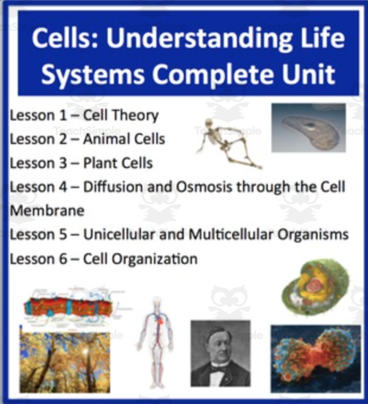 An educational teaching resource from Teach With Fergy entitled Cells - Understanding Life Systems - Unit Bundle - Lessons and Activities downloadable at Teach Simple.