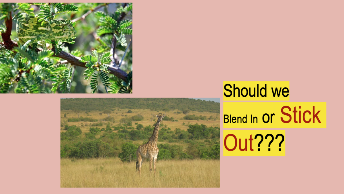 An educational teaching resource from Jennifer Moyer Taylor entitled Chameleon or Giraffe?  Blending In Versus Sticking Out Social Skills Lesson downloadable at Teach Simple.