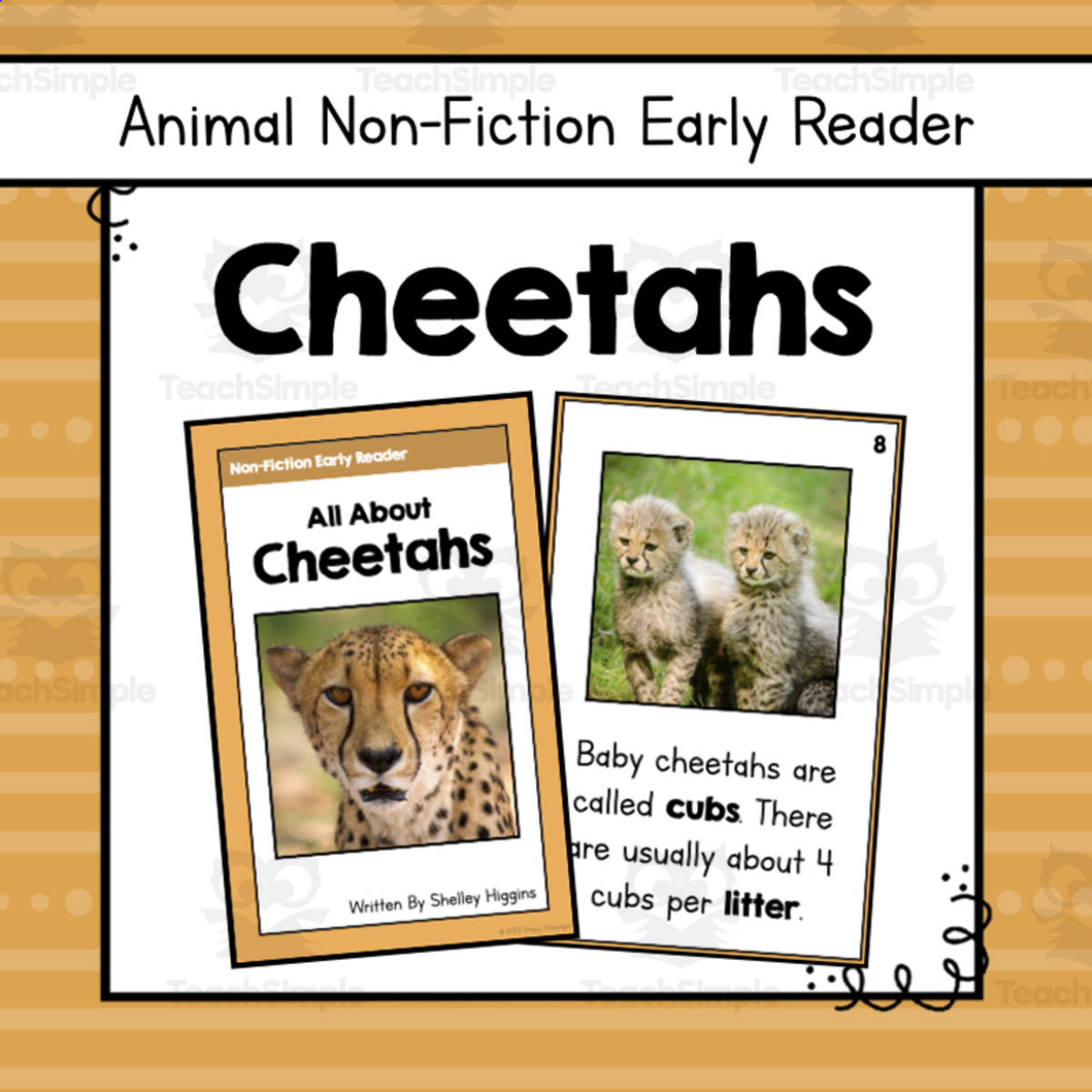 An educational teaching resource from Simply Schoolgirl entitled Cheetahs Informational Book | Nonfiction Early Reader Animal Booklet downloadable at Teach Simple.