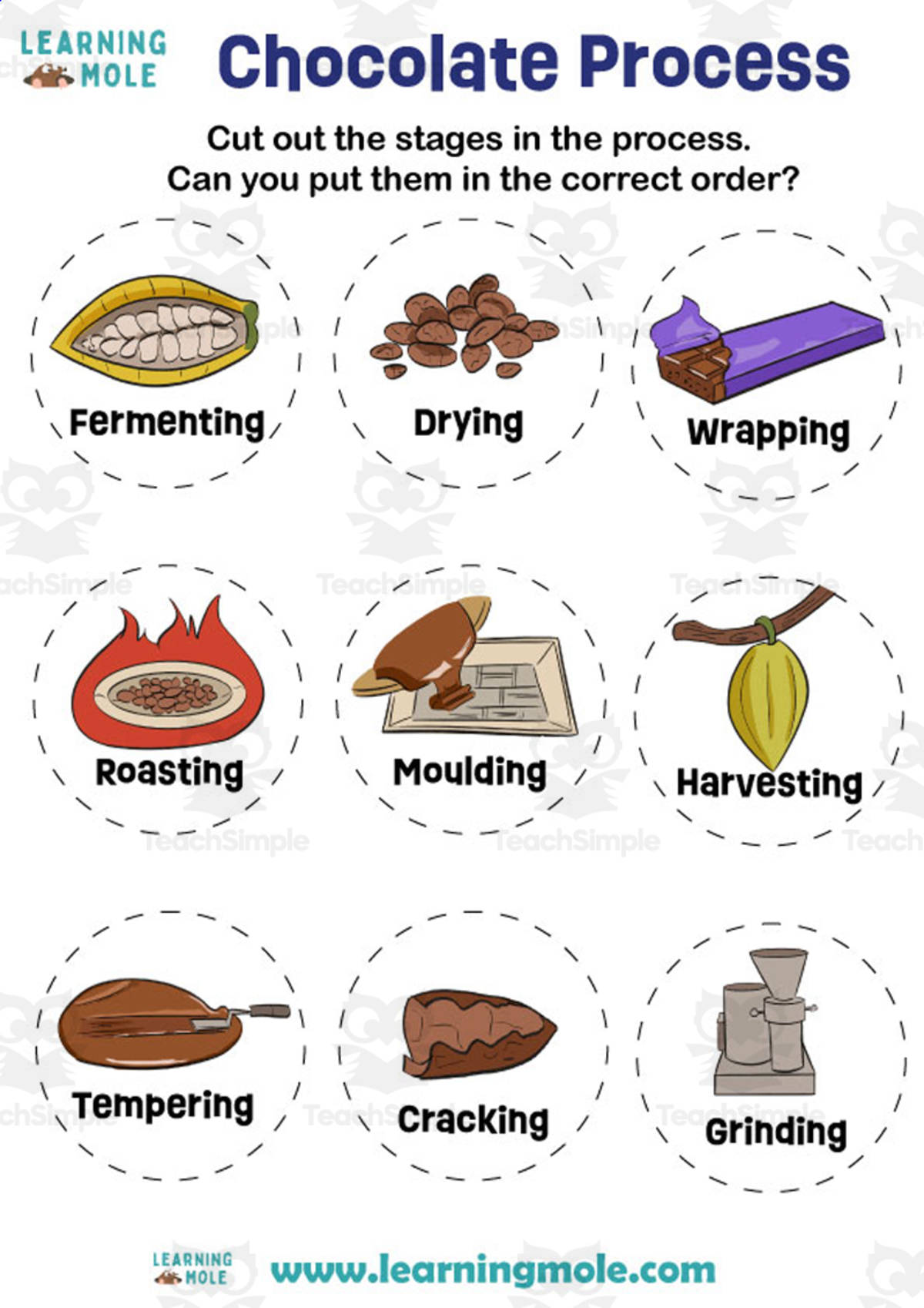 An educational teaching resource from Educational Voice entitled Chocolate Process Activity downloadable at Teach Simple.