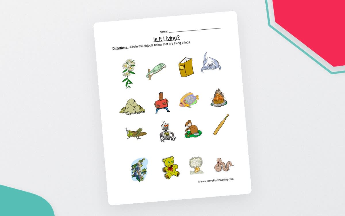 An educational teaching resource from Have Fun Teaching entitled Circle Living Things Worksheet downloadable at Teach Simple.