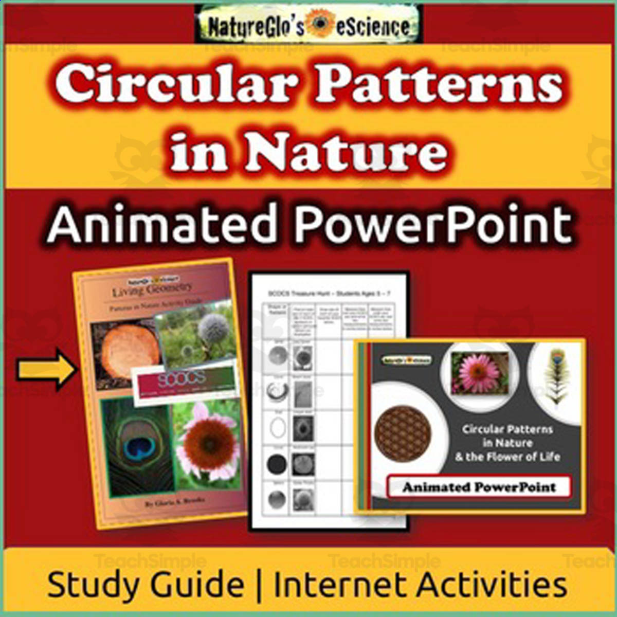 An educational teaching resource from NatureGlo's eScience entitled Circular Patterns in Nature PowerPoint with Study Guide downloadable at Teach Simple.