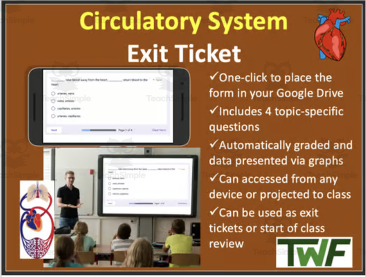 An educational teaching resource from Teach With Fergy entitled Circulatory System - Digital Exit Ticket and Review Activity downloadable at Teach Simple.