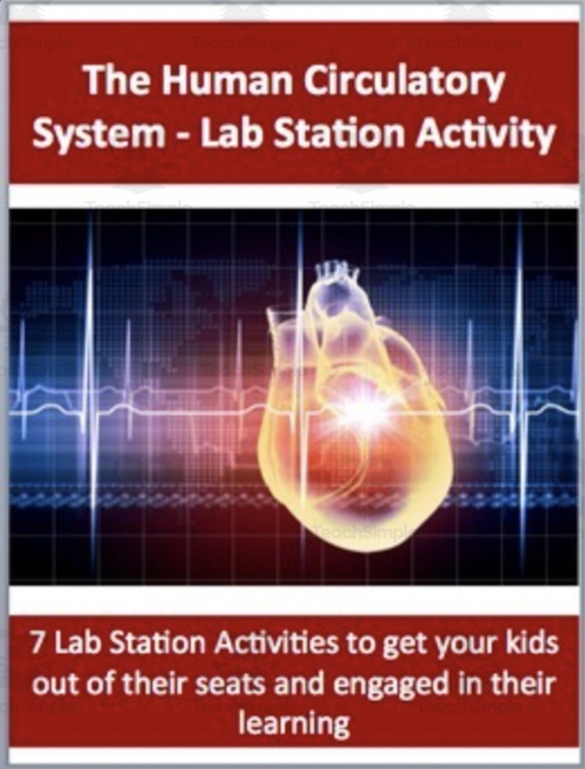 An educational teaching resource from Teach With Fergy entitled Circulatory System – Lab Station Activity downloadable at Teach Simple.