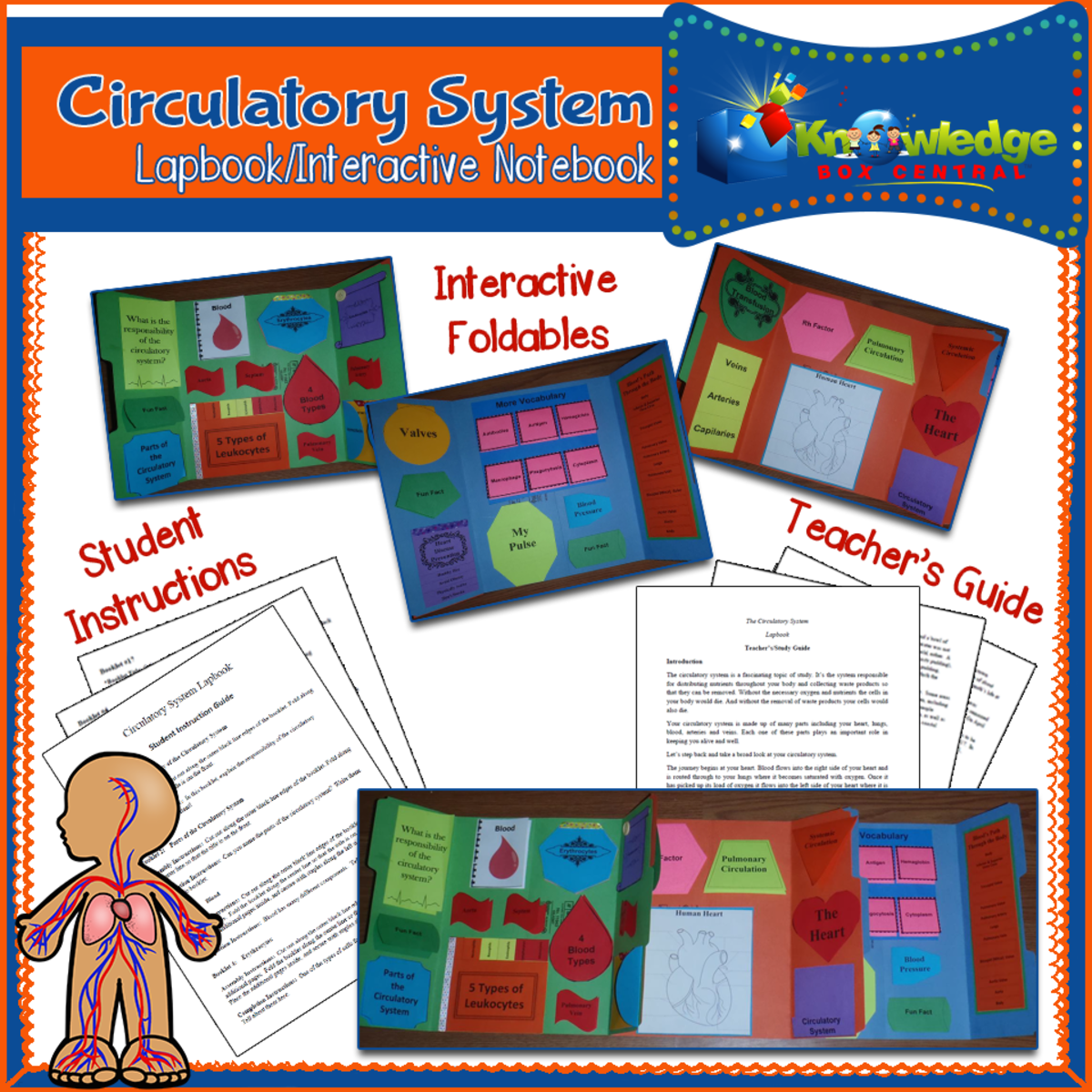An educational teaching resource from Knowledge Box Central entitled Circulatory System Lapbook / Interactive Notebook - EBOOK downloadable at Teach Simple.