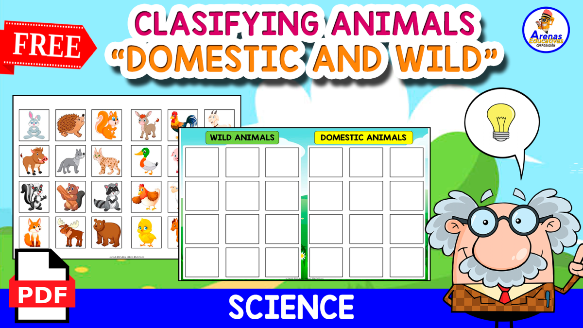 An educational teaching resource from EDITORIAL LAURA EDUCA entitled CLASIFYING ANIMALS | DOMESTIC AND WILD downloadable at Teach Simple.