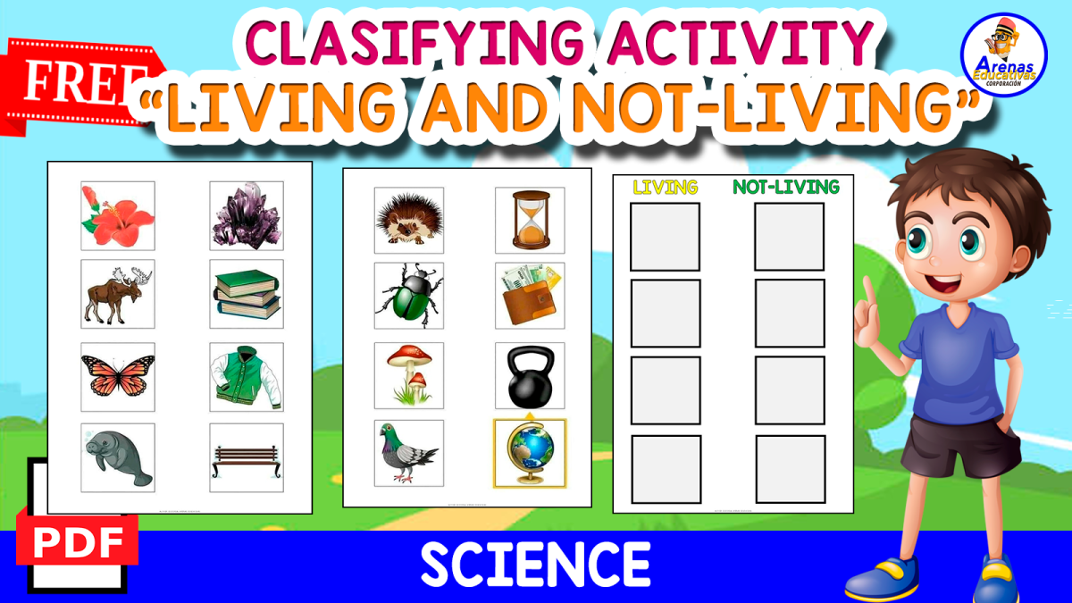 An educational teaching resource from EDITORIAL LAURA EDUCA entitled CLASIFYING | LIVING AND NOT-LIVING downloadable at Teach Simple.