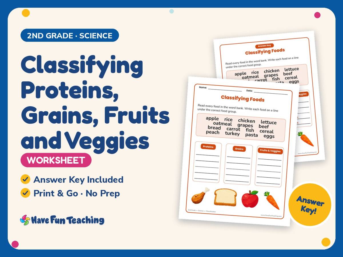 Classifying Proteins, Grains, Fruits and Veggies Worksheet – 2nd Grade preview