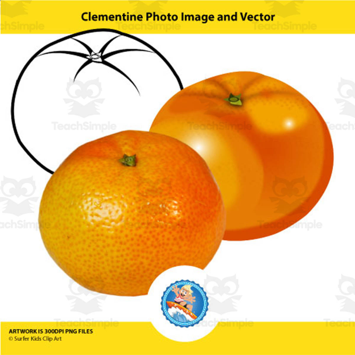 An educational teaching resource from Surfer Kids Clip Art entitled Clementine Photo Image and Vector downloadable at Teach Simple.