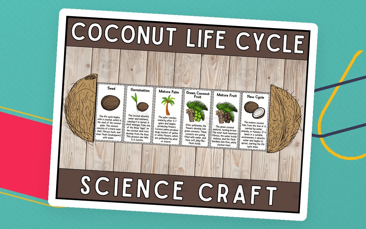 An educational teaching resource from Wonderland School entitled Coconut Life Cycle Craft – Foldable Science Project downloadable at Teach Simple.