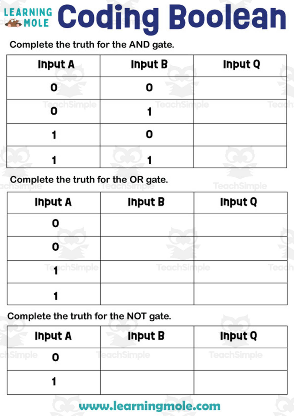 An educational teaching resource from Educational Voice entitled Coding Boolean Activity downloadable at Teach Simple.