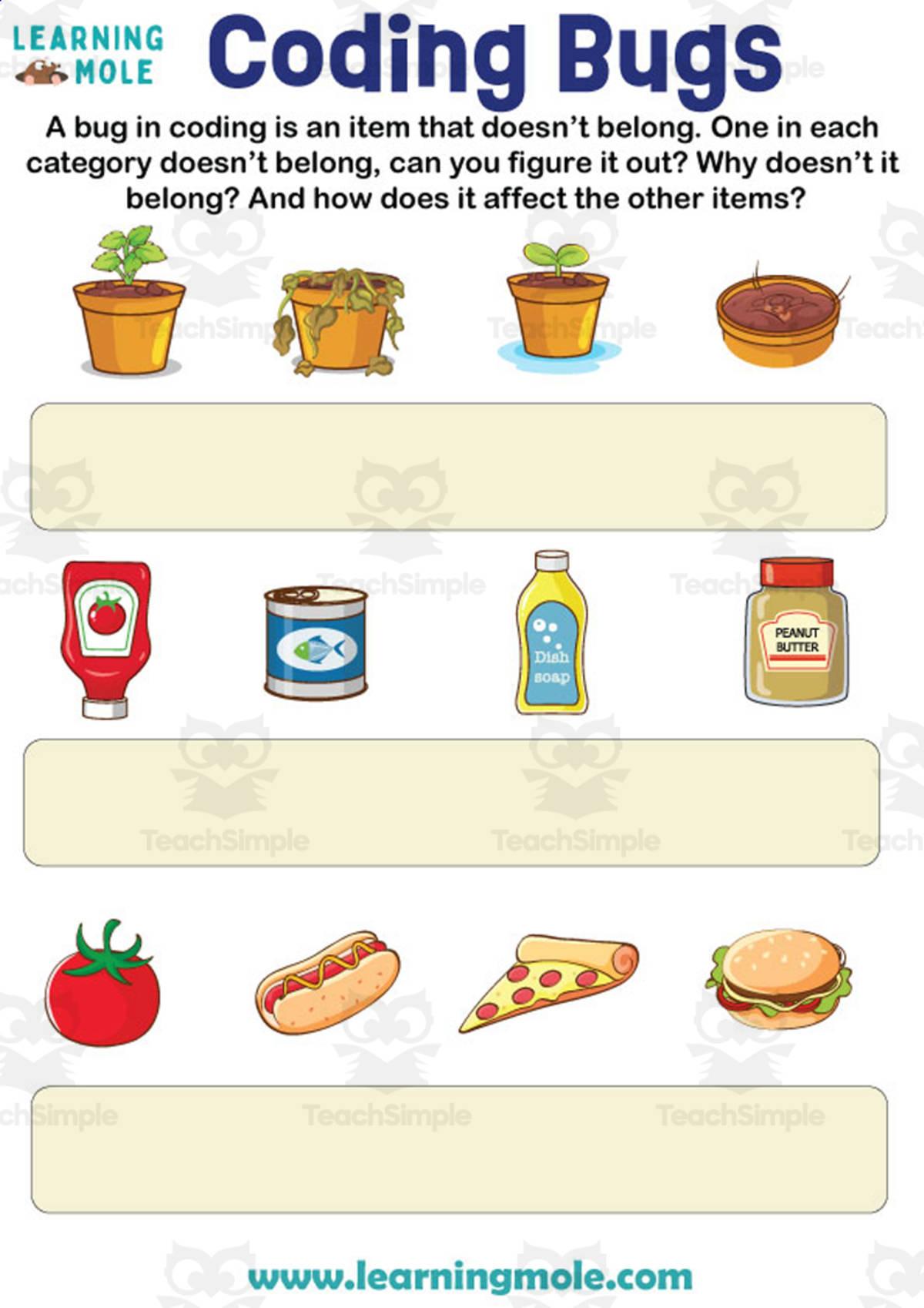 An educational teaching resource from Educational Voice entitled Coding Bugs Activity downloadable at Teach Simple.