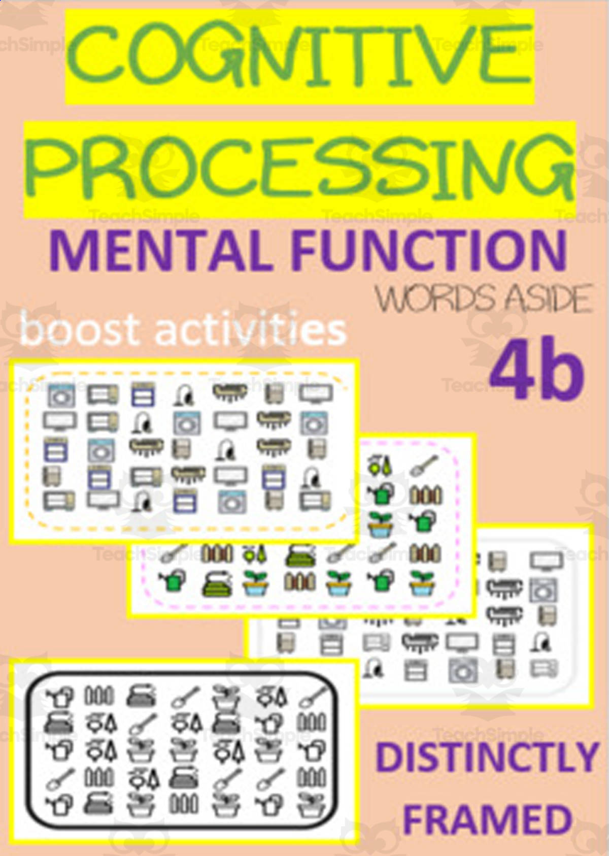 An educational teaching resource from WORDS ASIDE entitled Cognitive Processing Mental Function Boost Activities 4b downloadable at Teach Simple.