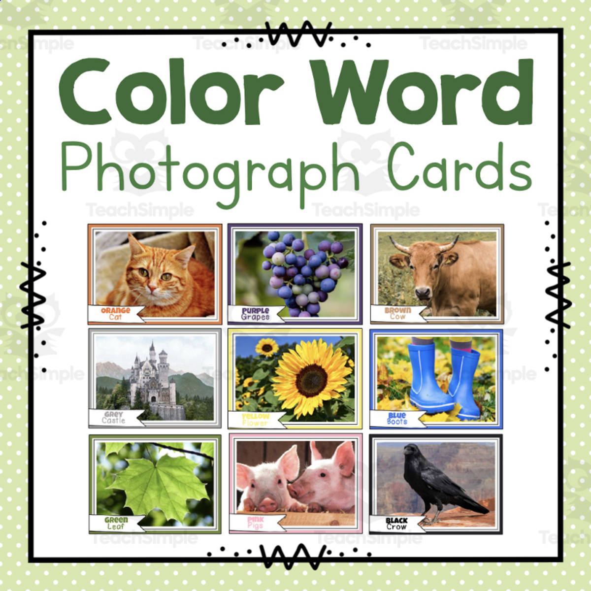 An educational teaching resource from Simply Schoolgirl entitled Color Word Photo Cards | Learning Colors | Preschool Worksheets downloadable at Teach Simple.