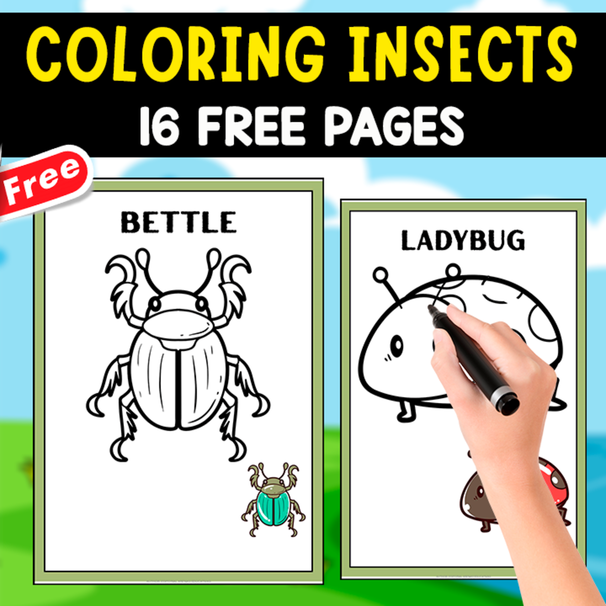 An educational teaching resource from EDITORIAL LAURA EDUCA entitled COLORING INSECTS AND BUGS BOOK | 16 FREE PAGES downloadable at Teach Simple.