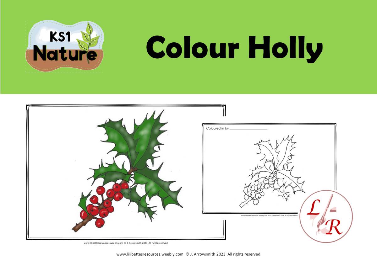 An educational teaching resource from Lilibette's Resources entitled Colour Holly downloadable at Teach Simple.