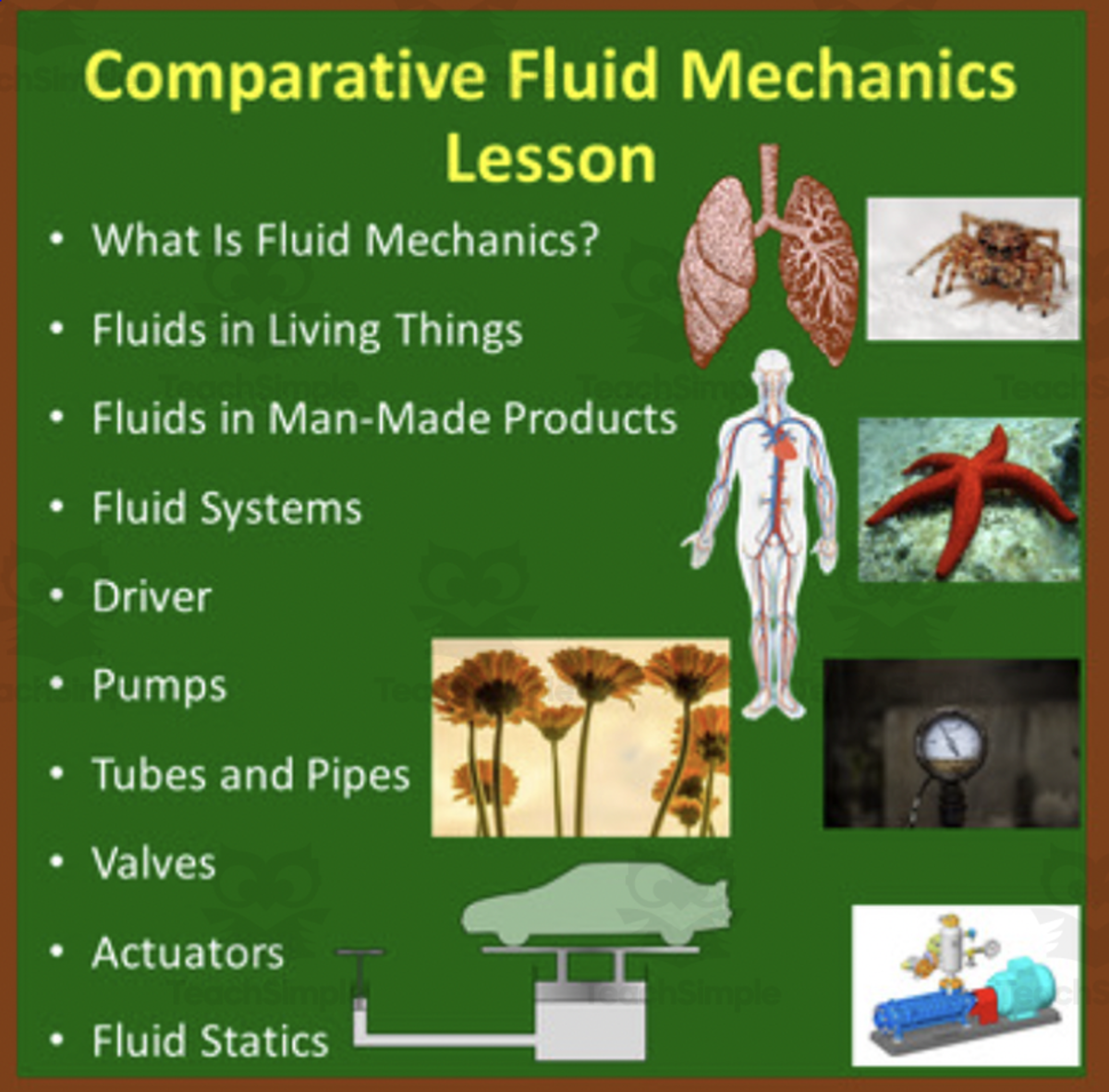 An educational teaching resource from Teach With Fergy entitled Comparative Fluid Mechanics – PowerPoint Lesson and Student Notes downloadable at Teach Simple.