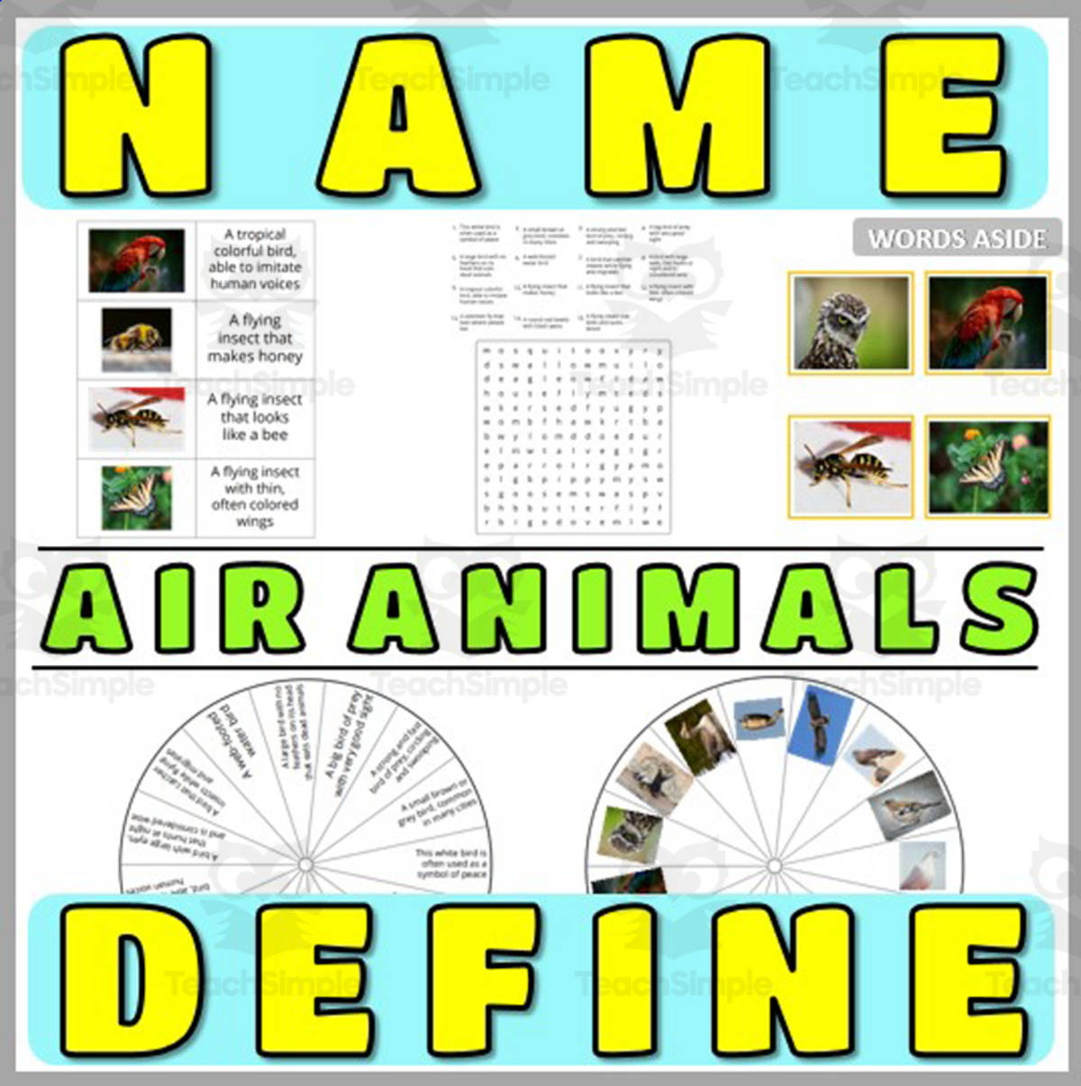 An educational teaching resource from WORDS ASIDE entitled Concept Nouns Naming and Definitions 1 downloadable at Teach Simple.