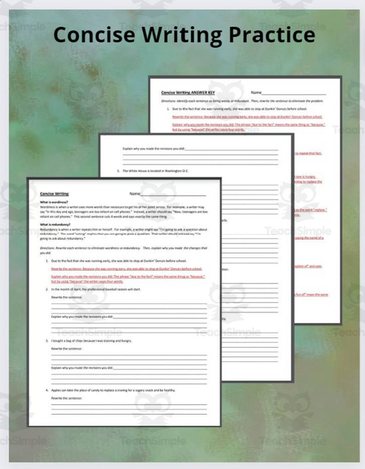 An educational teaching resource from ELA Resources entitled Concise Writing Practice downloadable at Teach Simple.
