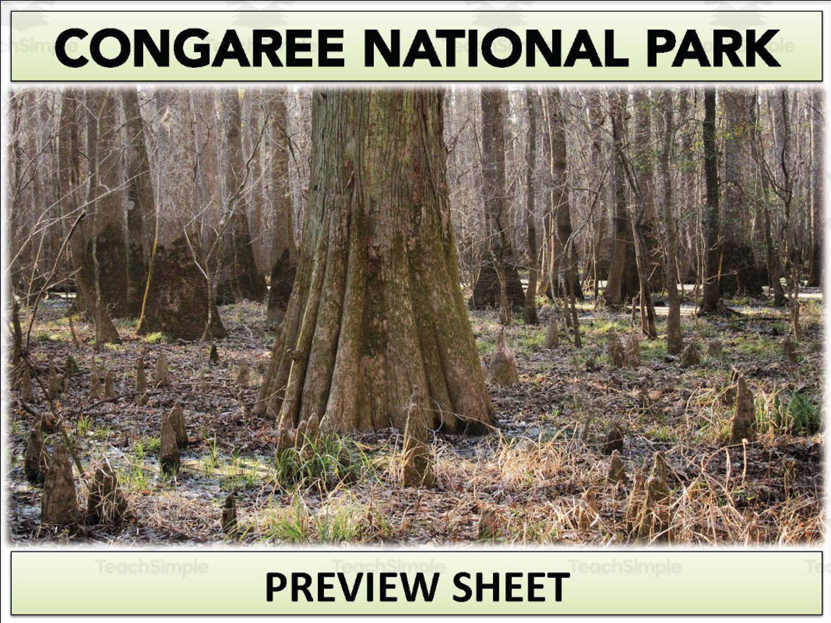 An educational teaching resource from Mr Gray History entitled Congaree National Park Geography Unit downloadable at Teach Simple.