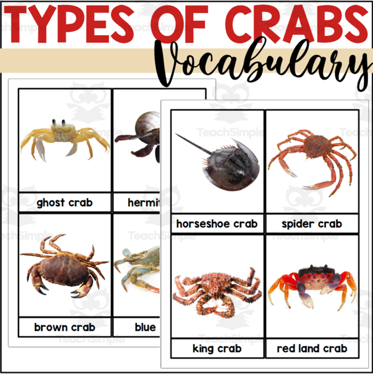 An educational teaching resource from The Connett Connection entitled Crab Vocabulary Words - Types of Crabs downloadable at Teach Simple.