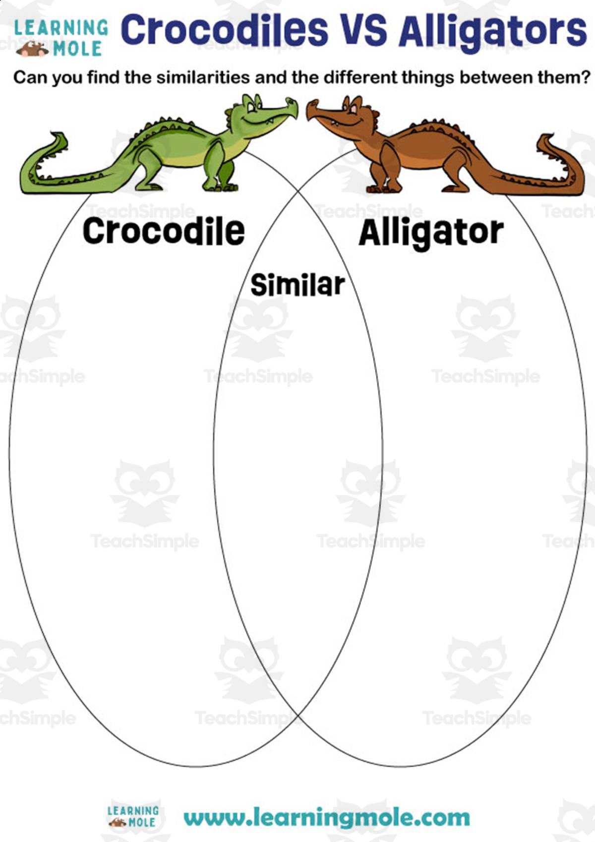 An educational teaching resource from Educational Voice entitled Crocodiles vs Alligators Activity downloadable at Teach Simple.