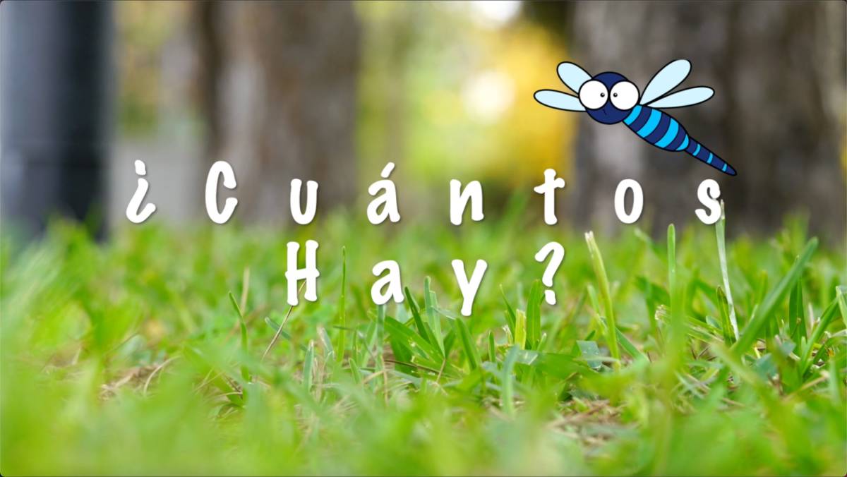 An educational teaching resource from Mi Camino Spanish entitled ¿Cuántos hay? | NEW Spanish Video! downloadable at Teach Simple.