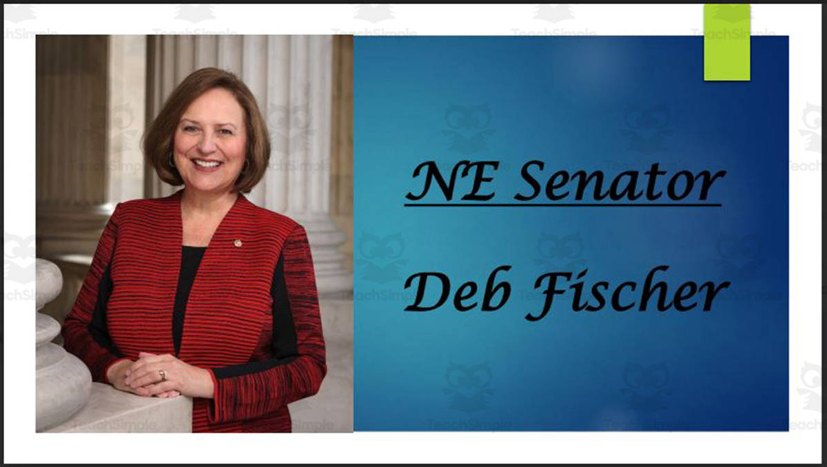 An educational teaching resource from Mr. Matthews Teacher Store entitled Current U.S. Senators from Nebraska (Biography PPT Bundle) downloadable at Teach Simple.