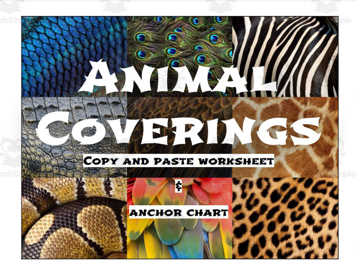 An educational teaching resource from Rodriguez's Resources entitled Cut and Paste: Animal Coverings - downloadable at Teach Simple.