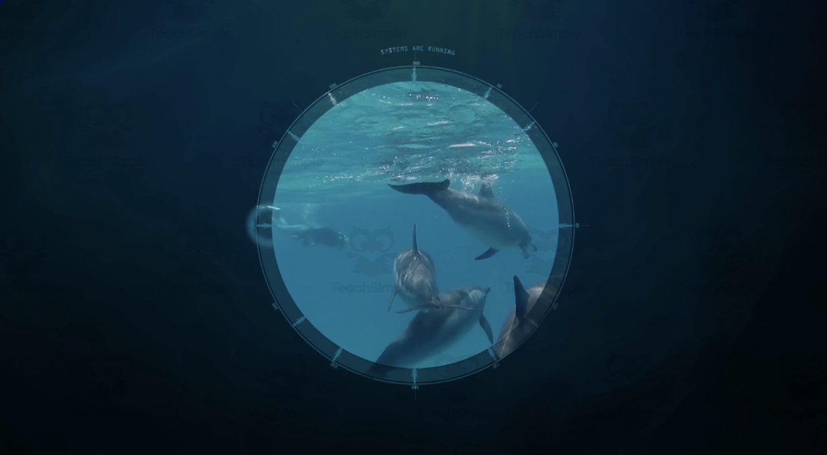 An educational teaching resource from Educational Voice entitled Cute Ocean Animals | Animated Ocean Video Lesson downloadable at Teach Simple.