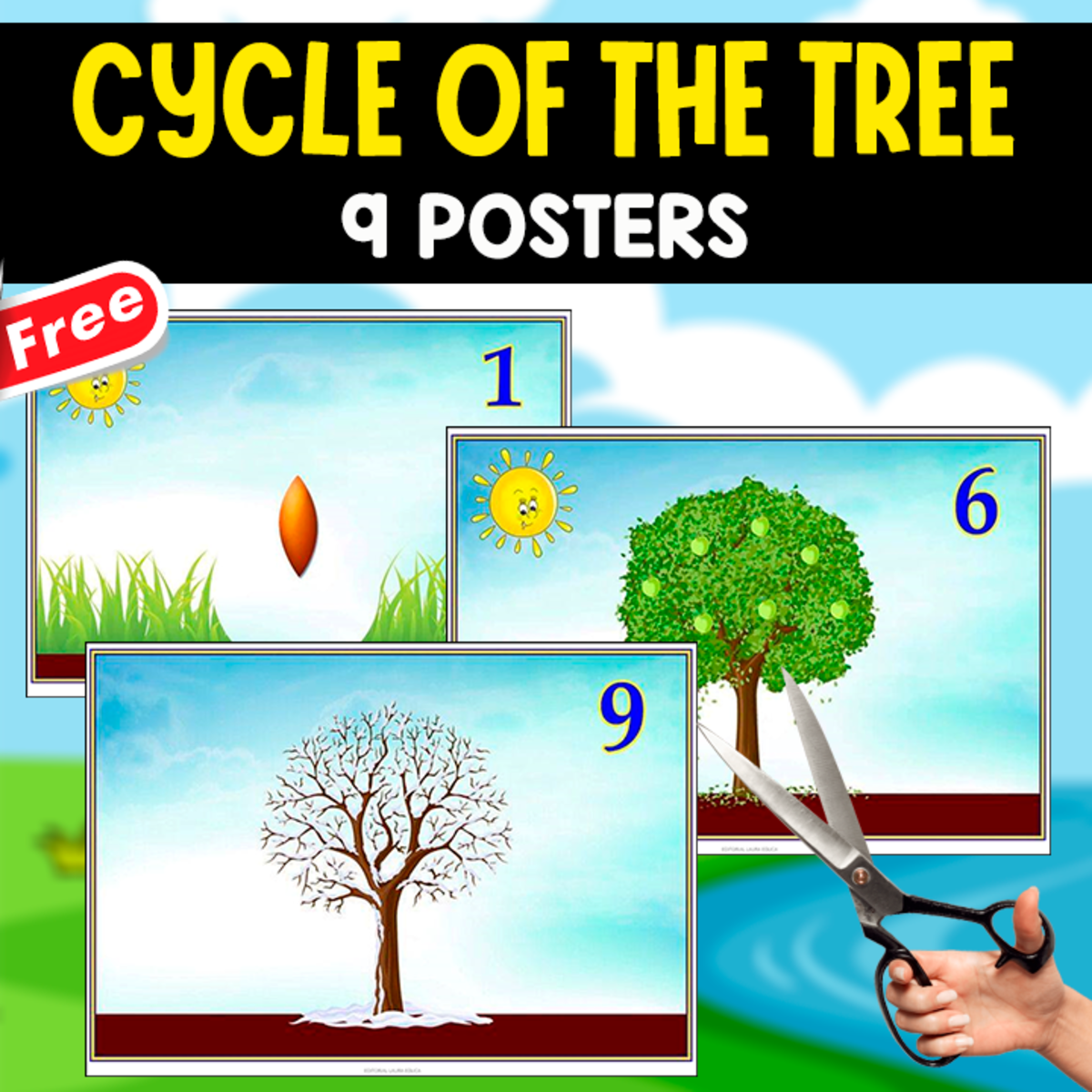 An educational teaching resource from EDITORIAL LAURA EDUCA entitled CYCLE OF THE TREE | 9 POSTERS | SCIENCE downloadable at Teach Simple.